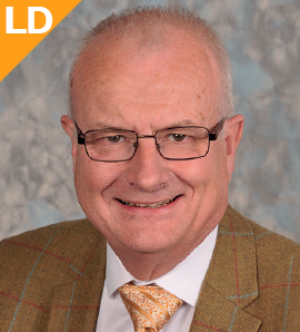 Councillor Denis Healy