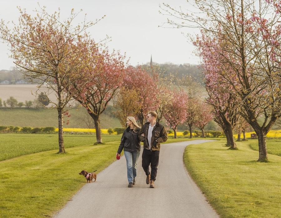Couple walking a small dog along a quiet country road lined with trees.